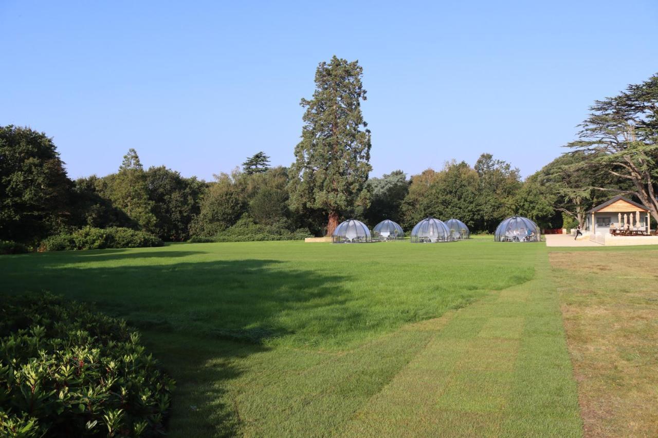 Orange Grove Hotel & Gardens Sarisbury Green Exterior foto